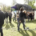 bevrijgingsfeest_1233294