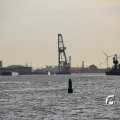IMG_1233495