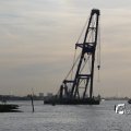 IMG_1233525