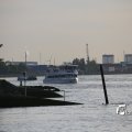 IMG_1233534