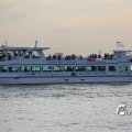IMG_1233564