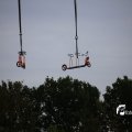 IMG_1233647