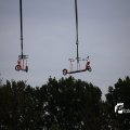 IMG_1233648