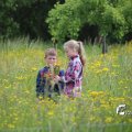 IMG_1243021
