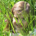 IMG_1243174