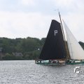 IMG_1249272