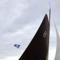 IMG_1250242