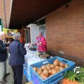 IMG_1250425