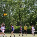 IMG_1251134