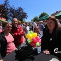 IMG_1258254