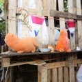 IMG_1282054