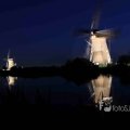 IMG_1284186