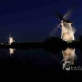 IMG_1284193