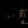 IMG_1284315