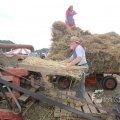 IMG_1285556