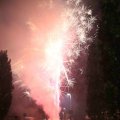 IMG_1287564