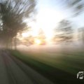 IMG_1294688