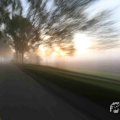 IMG_1294691