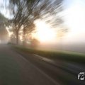 IMG_1294693