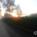 IMG_1294694