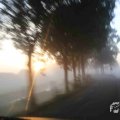 IMG_1294695