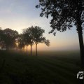IMG_1294704