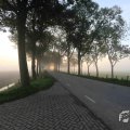 IMG_1294709