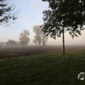 IMG_1294728