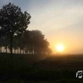 IMG_1294739
