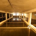 IMG_1312161