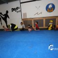 IMG_1313274