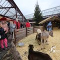 IMG_1316195
