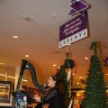 IMG_1320949