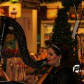 IMG_1320954