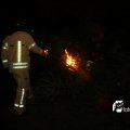 IMG_1322918
