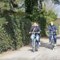 IMG_1330114