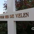 IMG_1348584