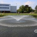 IMG_1348674