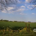 IMG_1348757
