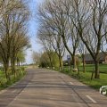 IMG_1348761