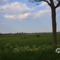 IMG_1348817