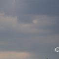 IMG_1348868