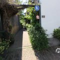 IMG_1348933