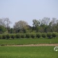 IMG_1348962