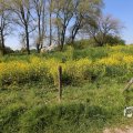 IMG_1348968
