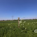 IMG_1348979