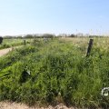 IMG_1348983