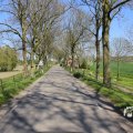 IMG_1349172