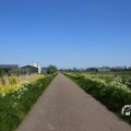 IMG_1349195