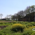 IMG_1349206